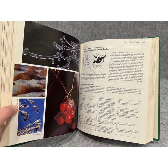 Nature's Design: A Practical Guide to Natural Landscaping by Carol A. Smyse - Picture 6 of 13